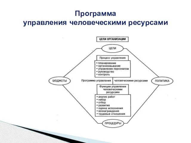 Программа управления человеческими ресурсами