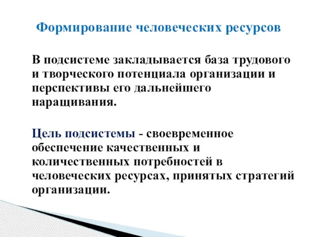 В подсистеме закладывается база трудового и творческого потенциала организации и перспективы