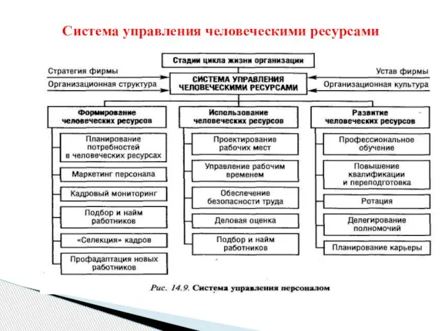 Система управления человеческими ресурсами