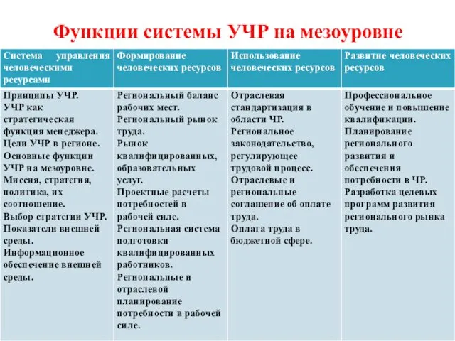 Функции системы УЧР на мезоуровне