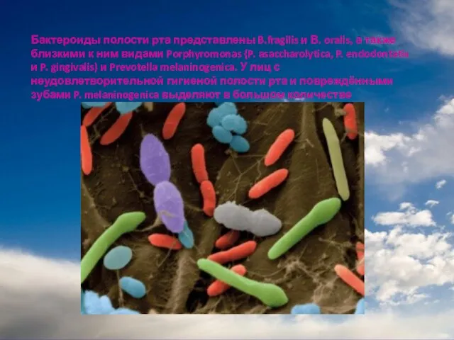 Бактероиды полости рта представлены B.fragilis и В. oralis, а также близкими