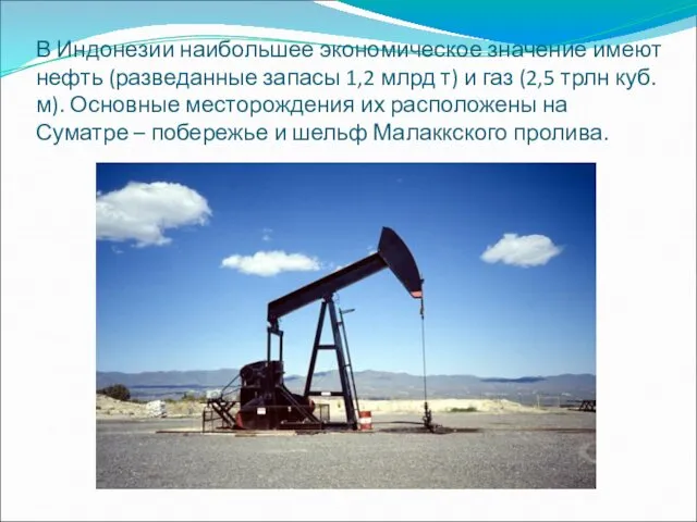 В Индонезии наибольшее экономическое значение имеют нефть (разведанные запасы 1,2 млрд