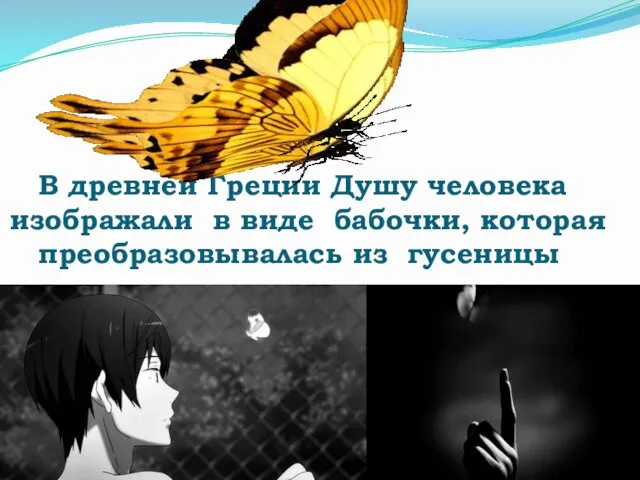 В древней Греции Душу человека изображали в виде бабочки, которая преобразовывалась из гусеницы