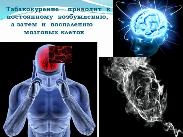 Табакокурение приводит к постоянному возбуждению, а затем и воспалению мозговых клеток