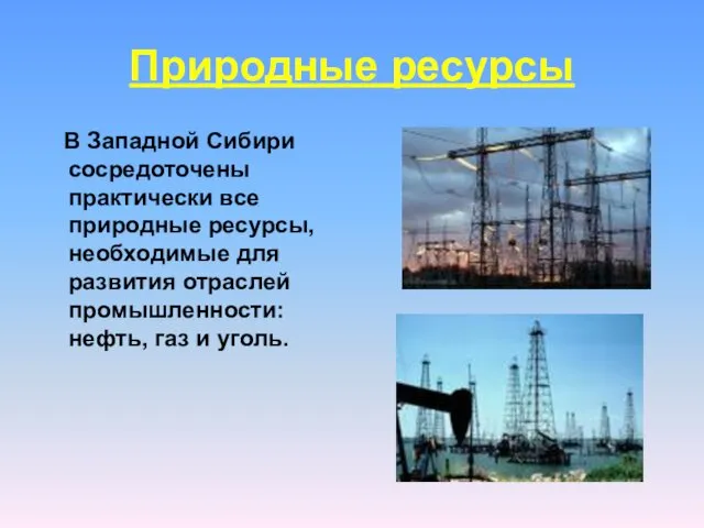 Природные ресурсы В Западной Сибири сосредоточены практически все природные ресурсы, необходимые