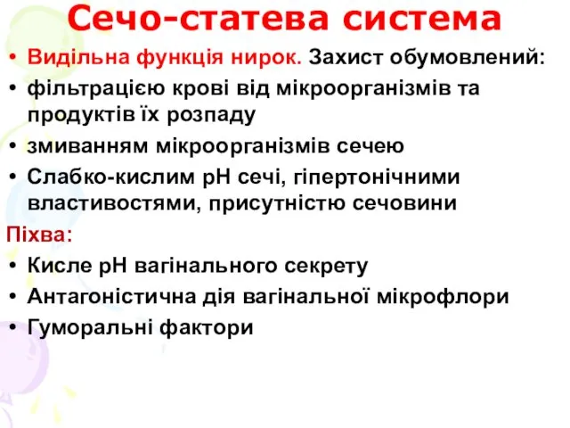 Сечо-статева система Видільна функція нирок. Захист обумовлений: фільтрацією крові від мікроорганізмів