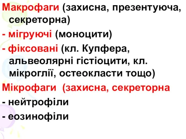 Макрофаги (захисна, презентуюча, секреторна) - мігруючі (моноцити) - фіксовані (кл. Купфера,