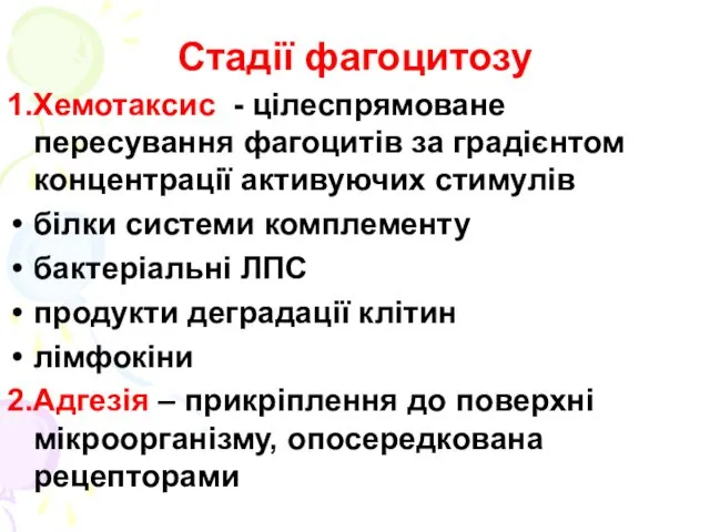 Стадії фагоцитозу 1.Хемотаксис - цілеспрямоване пересування фагоцитів за градієнтом концентрації активуючих