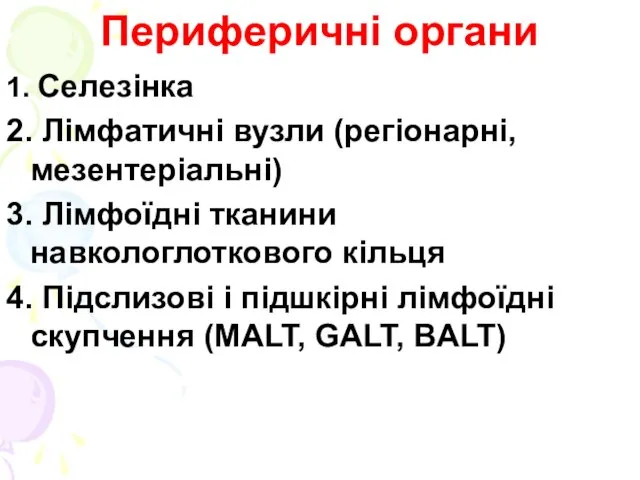 Периферичні органи 1. Селезінка 2. Лімфатичні вузли (регіонарні, мезентеріальні) 3. Лімфоїдні