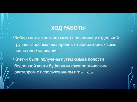 ХОД РАБОТЫ Забор клеток костного мозга проводили у отдельной группы взрослых