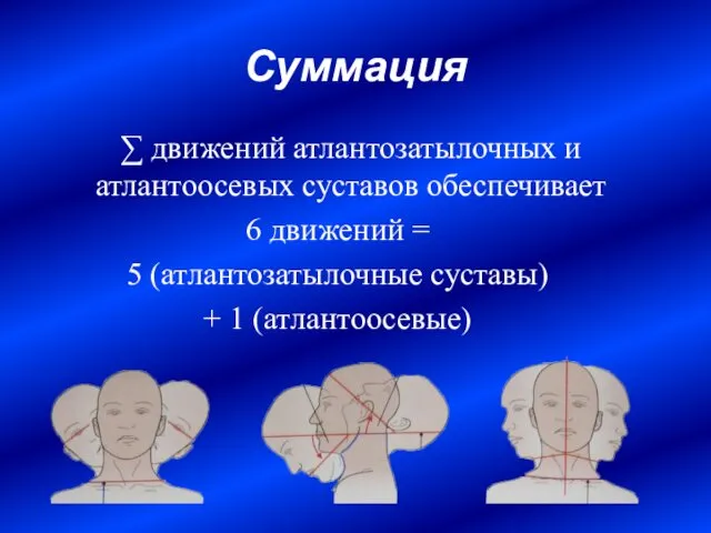 Суммация ∑ движений атлантозатылочных и атлантоосевых суставов обеспечивает 6 движений =