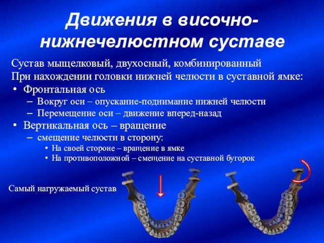 Движения в височно-нижнечелюстном суставе Сустав мыщелковый, двухосный, комбинированный При нахождении головки