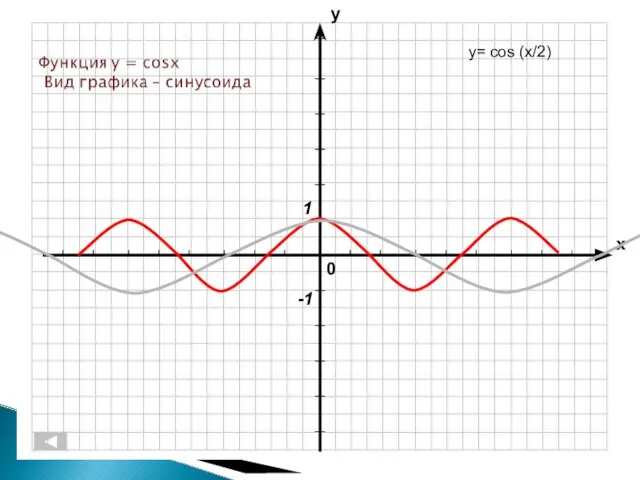 y= cos (x/2)