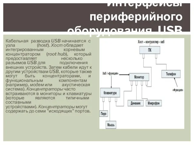 Кабельная разводка USB начинается с узла (host). Хост обладает интегрированным корневым