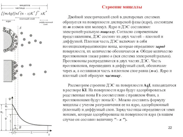 Строение мицеллы Двойной электрический слой в дисперсных системах образуется на поверхности