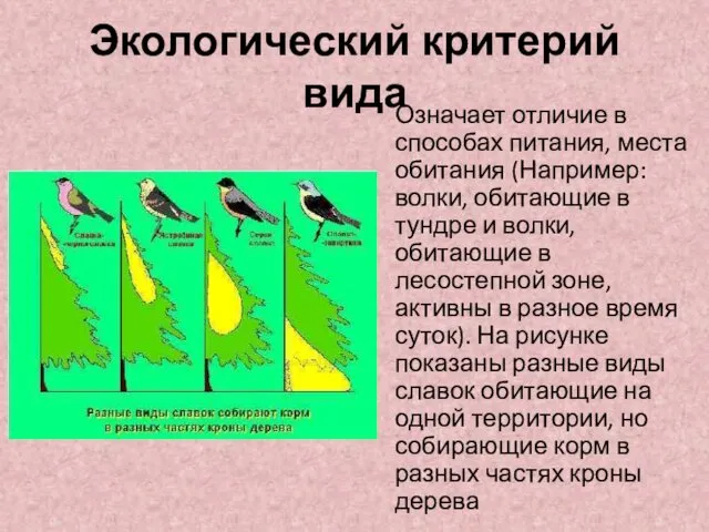 Экологический критерий вида Означает отличие в способах питания, места обитания (Например: