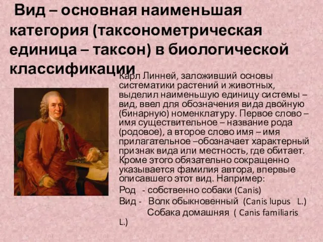 Вид – основная наименьшая категория (таксонометрическая единица – таксон) в биологической