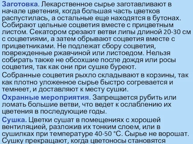 Заготовка. Лекарственное сырье заготавливают в начале цветения, когда большая часть цветков