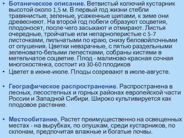 Ботаническое описание. Ветвистый колючий кустарник высотой около 1,5 м. В первый