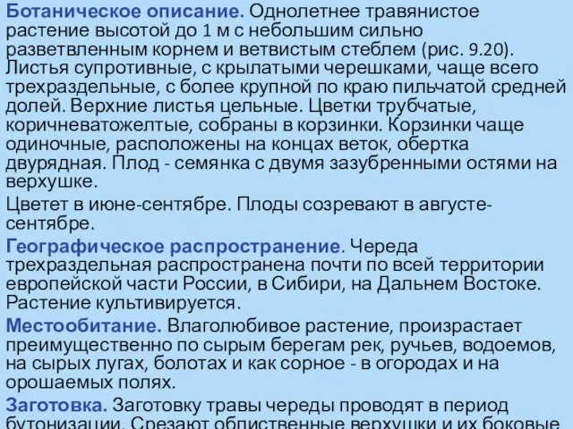 Ботаническое описание. Однолетнее травянистое растение высотой до 1 м с небольшим