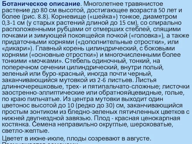 Ботаническое описание. Многолетнее травянистое растение до 80 см высотой, достигающее возраста