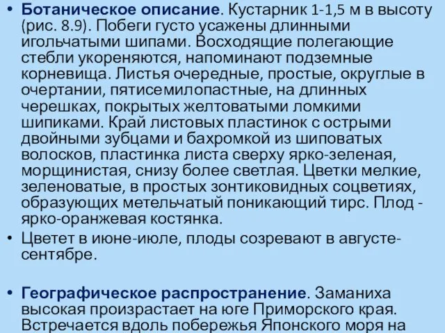 Ботаническое описание. Кустарник 1-1,5 м в высоту (рис. 8.9). Побеги густо