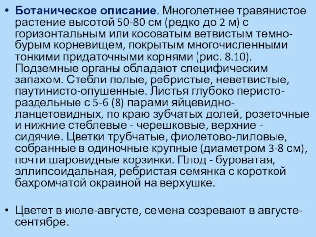 Ботаническое описание. Многолетнее травянистое растение высотой 50-80 см (редко до 2