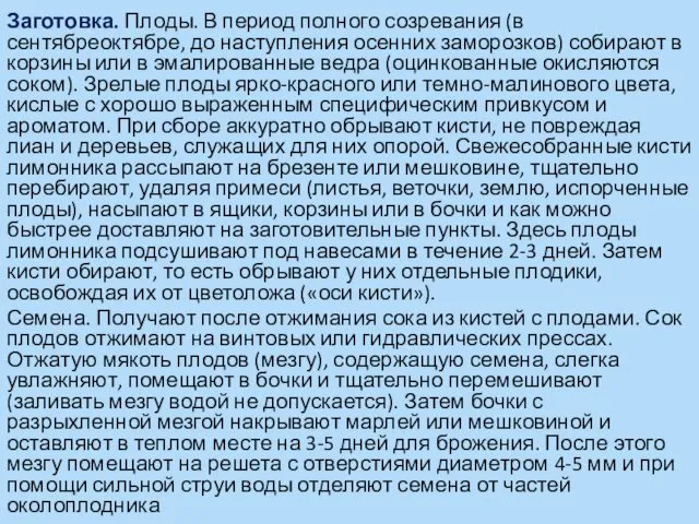 Заготовка. Плоды. В период полного созревания (в сентябреоктябре, до наступления осенних