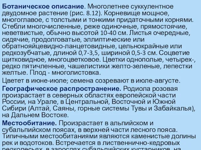 Ботаническое описание. Многолетнее суккулентное двудомное растение (рис. 8.12). Корневище мощное, многоглавое,