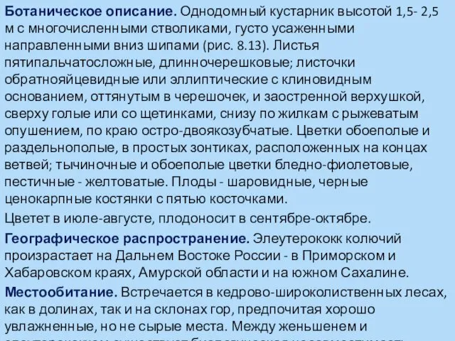 Ботаническое описание. Однодомный кустарник высотой 1,5- 2,5 м с многочисленными стволиками,