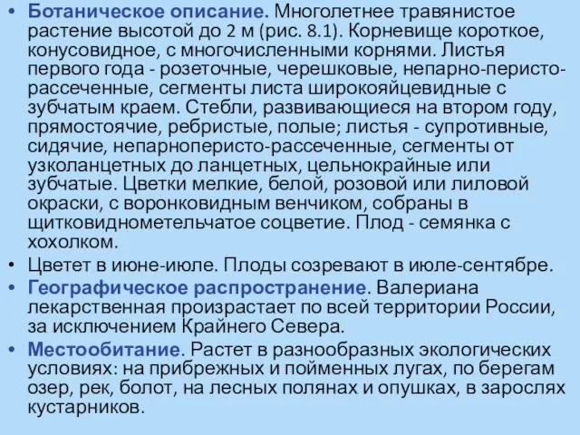 Ботаническое описание. Многолетнее травянистое растение высотой до 2 м (рис. 8.1).