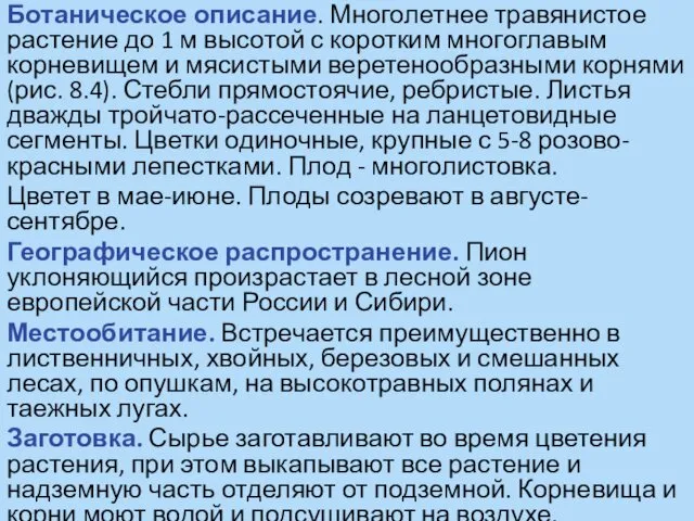 Ботаническое описание. Многолетнее травянистое растение до 1 м высотой с коротким