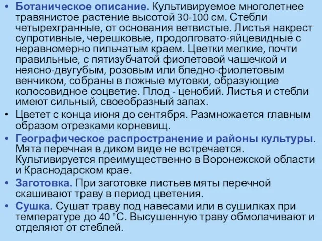 Ботаническое описание. Культивируемое многолетнее травянистое растение высотой 30-100 см. Стебли четырехгранные,