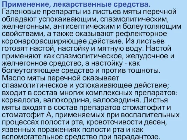 Применение, лекарственные средства. Галеновые препараты из листьев мяты перечной обладают успокаивающим,