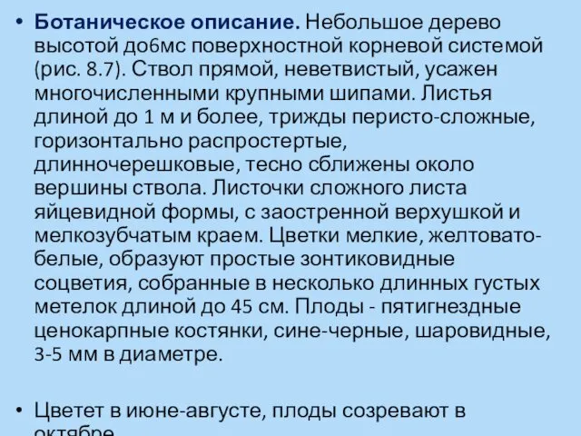 Ботаническое описание. Небольшое дерево высотой до6мс поверхностной корневой системой (рис. 8.7).