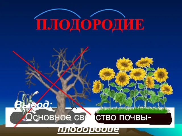 ПЛОДОРОДИЕ Вывод: Основное свойство почвы- плодородие