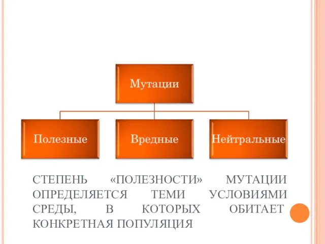 СТЕПЕНЬ «ПОЛЕЗНОСТИ» МУТАЦИИ ОПРЕДЕЛЯЕТСЯ ТЕМИ УСЛОВИЯМИ СРЕДЫ, В КОТОРЫХ ОБИТАЕТ КОНКРЕТНАЯ ПОПУЛЯЦИЯ