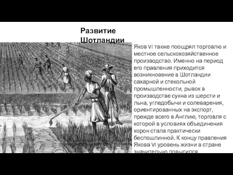 Развитие Шотландии Яков VI также поощрял торговлю и местное сельскохозяйственное производство.