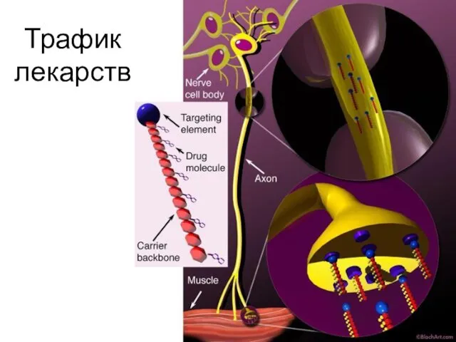 Трафик лекарств