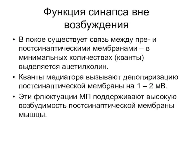 Функция синапса вне возбуждения В покое существует связь между пре- и