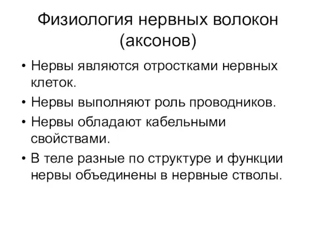 Физиология нервных волокон (аксонов) Нервы являются отростками нервных клеток. Нервы выполняют