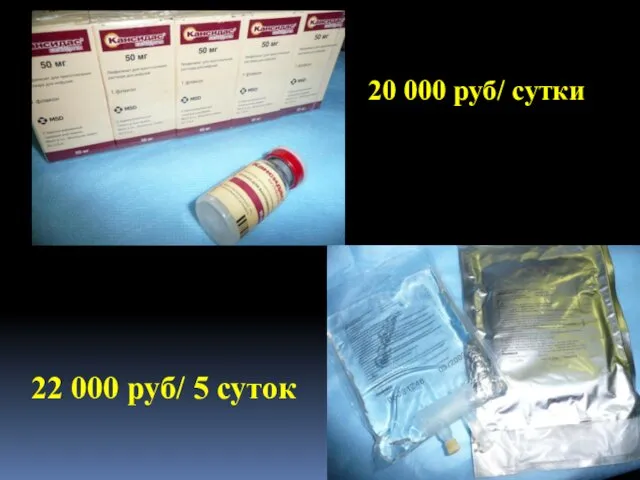 20 000 руб/ сутки 22 000 руб/ 5 суток