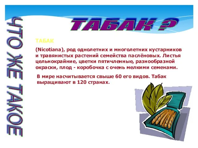 ЧТО ЖЕ ТАКОЕ ТАБАК ? ТАБАК (Nicotiana), род однолетних и многолетних