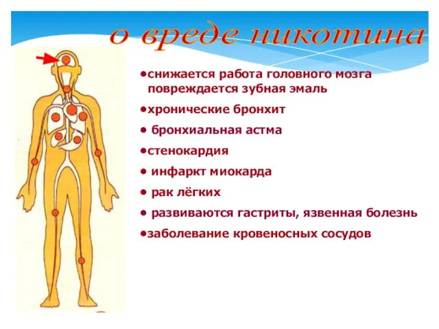 о вреде никотина снижается работа головного мозга повреждается зубная эмаль хронические