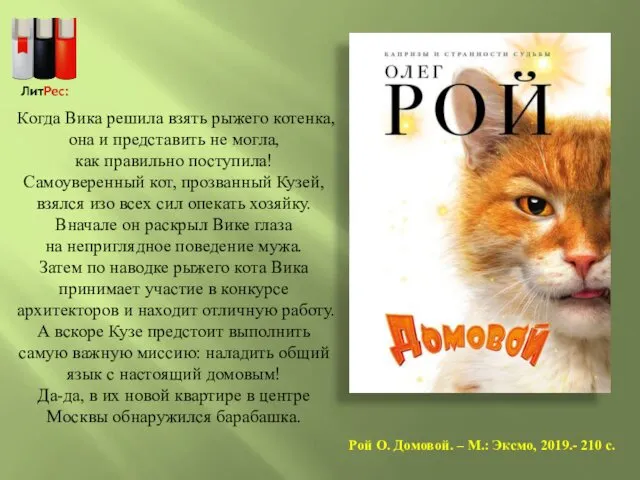 Рой О. Домовой. – М.: Эксмо, 2019.- 210 с. Когда Вика