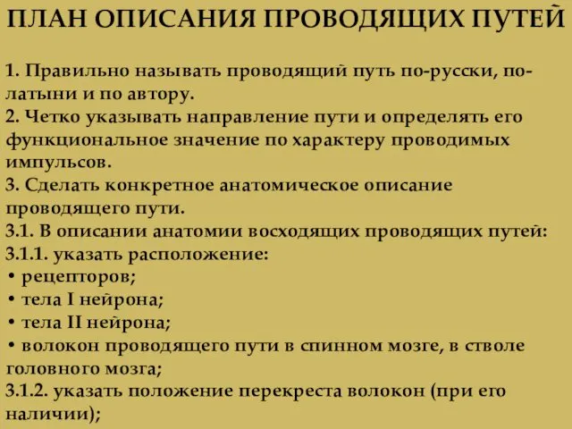 ПЛАН ОПИСАНИЯ ПРОВОДЯЩИХ ПУТЕЙ 1. Правильно называть проводящий путь по-русски, по-латыни