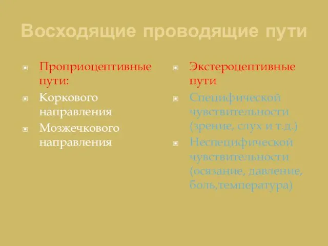 Восходящие проводящие пути Проприоцептивные пути: Коркового направления Мозжечкового направления Экстероцептивные пути