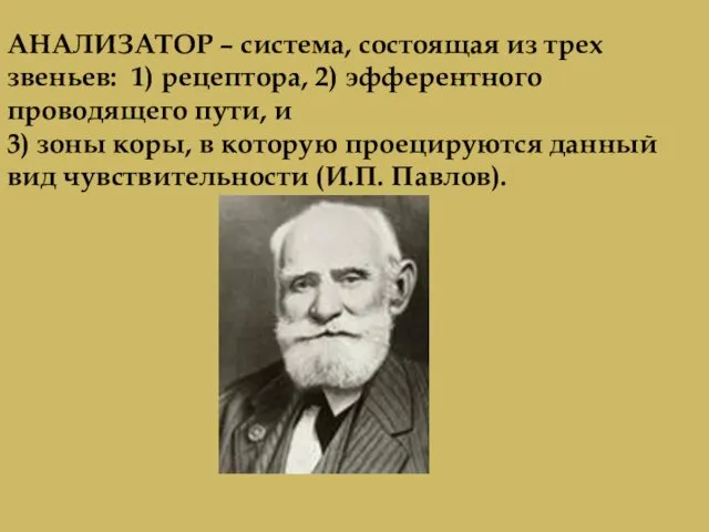 АНАЛИЗАТОР – система, состоящая из трех звеньев: 1) рецептора, 2) эфферентного