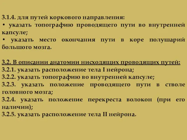 3.1.4. для путей коркового направления: • указать топографию проводящего пути во