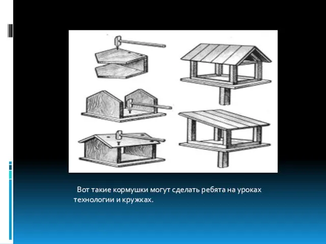 Вот такие кормушки могут сделать ребята на уроках технологии и кружках.